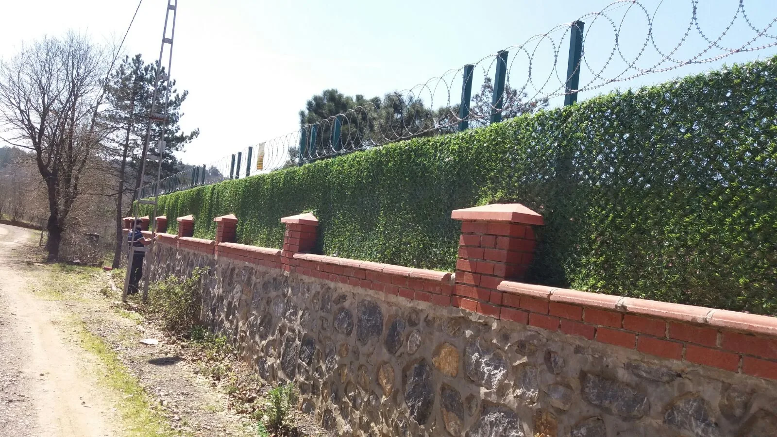 Çim Çit Uygulamaları saha uygulaması 13
