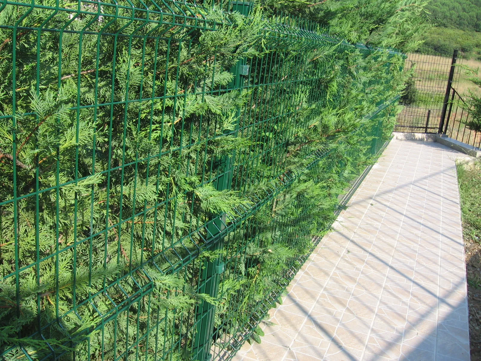 Panel Fence Applications field application
